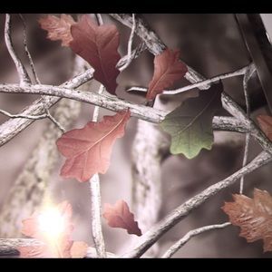 Meet your Posher, Charlee